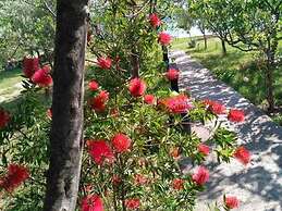 Your Perfect Adriatic Getaway