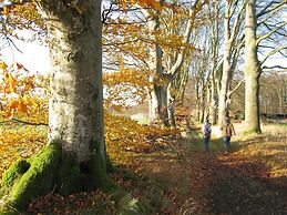 Family Home in Stunning Setting With Swimming Pool