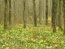 Quaint Holiday Home in Beauraing Belgium With Private Garden