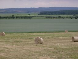 Quaint Holiday Home in Beauraing Belgium With Private Garden