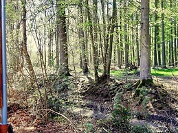 Cozy Holiday Home in Oignies-en-Thiérache near Forest