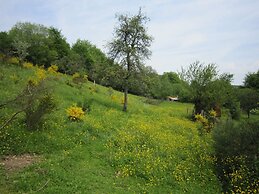 Lavish Cottage With Sauna in Manhay