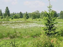 Modern Holiday Home in Ondenval With Sauna