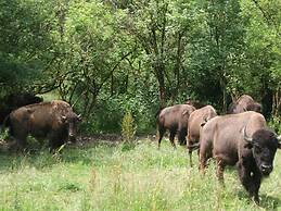 Cottage in Lignieres With Garden and Pond