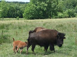 Cottage in Lignieres With Garden and Pond