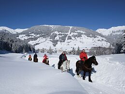 Apartment Near the ski Area in Mayrhofen