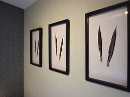 Holiday Home in Vielsalm With Sauna