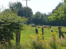 Gorgeous Holiday Home in Waimes With In-house Theatre & Pool