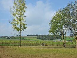 Cozy Holiday Home in Sommeleuze With Private Pool