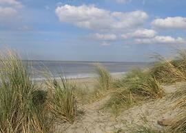 Villa, two Bathrooms and a Washing Machine, Near Ostend