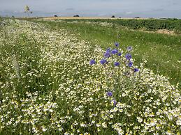 House near Caves of Hotton, L' Ourthe, & Durbuy