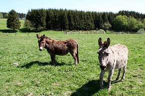 Chalet in Malmedy With Sauna