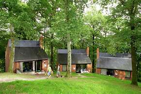 Nicely Furnished Bungalow with Fireplace near Maas