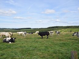 Comfortable Holiday Home in Marche en Famenne