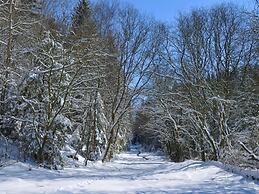 Comfortable Holiday Home Near Vielsalm