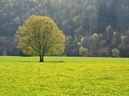 Holiday Home in Houffalize With Garden
