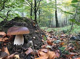 Lodge in Oignies Forest With Eco Design