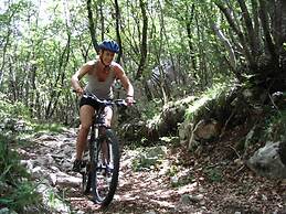 Cozy Holiday Home in Durbuy With Garden