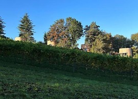 Holiday Home in Durbuy With Garden