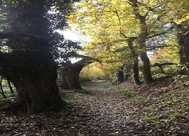 Holiday Home in Durbuy With Garden