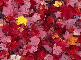 Splendid Holiday Home in Durbuy