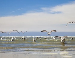 Comfortable Studio With a View Over the City