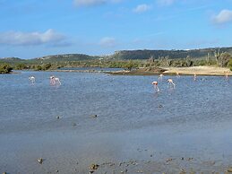 Gorgeous Villa in Rif St Marie With Private Pool