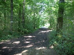 Luxurious Villa With Private Pool in Durbuy