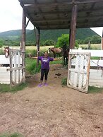 Brimstone View Guest Apartments