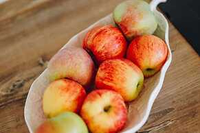 Brand new Countryside Villa With Heated Pool