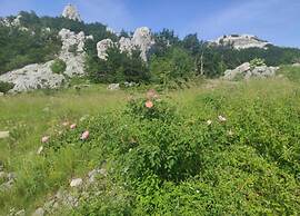 Quiet Country Side Cottage with Private Garden & WiFi near Nature Park