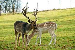Pleasant Mill in Bastogne With Private Garden