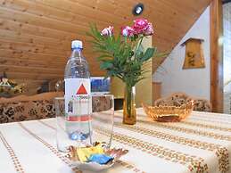 Flat Near the Forest in Frauenwald Thuringia