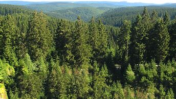 Flat Near the Forest in Frauenwald Thuringia