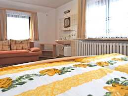 Flat Near the Forest in Frauenwald Thuringia