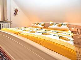 Flat Near the Forest in Frauenwald Thuringia