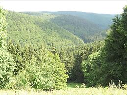 Flat Near the Forest in Frauenwald Thuringia