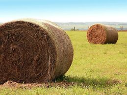 Modern Chalet Located in the Woods