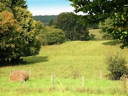 Modern Chalet Located in the Woods