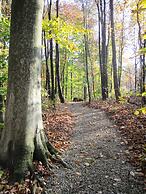 Sojourner's Lodge & Log Cabin Suites