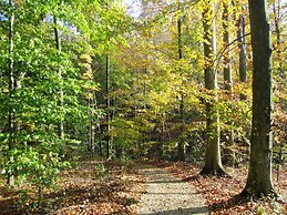 Sojourner's Lodge & Log Cabin Suites