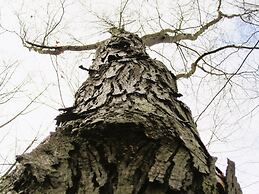 Sojourner's Lodge & Log Cabin Suites