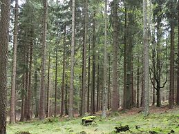 Holiday House Near Forest in Obora