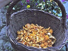 Holiday House Near Forest in Obora