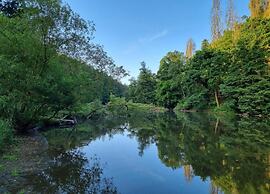 Holiday Home in Bechyne With Pool