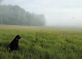 Holiday Home in Bechyne With Pool