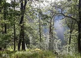 Villa in Bechyne Near Town Center