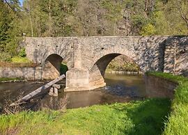 Holiday Home in Forest With Private Pool