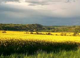 Holiday Home in Forest With Private Pool