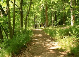 Holiday Home in Forest With Private Pool
